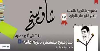 الجيش الإلكتروني المصري: أرشدنا عن أدمن «شاومينج»