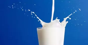 هل أسطورة «الحليب يقوّي العظام» صحيحة؟