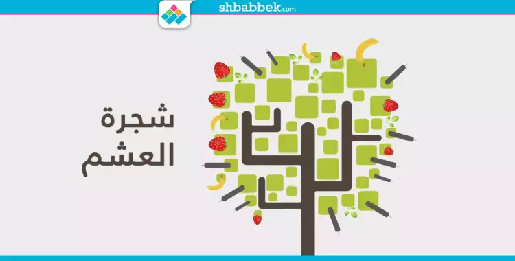  لو شجرة العشم بتطرح تفتكروا هتجيب ايه؟ 