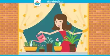 الحقي الحجز.. دور المغتربات الحكومية (4)