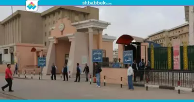 إنشاء وحدة لتنظيم الأنشطة الرياضية بجامعة بني سويف