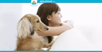 عايز تشتري كلب؟.. فيه حاجات لازم تعرفها الأول
