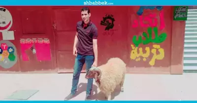 برعاية الاتحاد.. ذبح أضحية بـ«تربية طنطا» وتوزيعها على العاملين (صور)