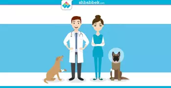 انقذ روح.. مستشفيات لعلاج الحيوانات الأليفة