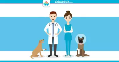 انقذ روح.. مستشفيات لعلاج الحيوانات الأليفة