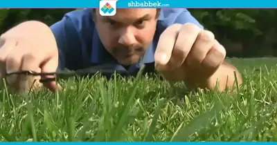 الشخصية القهرية.. مهتم بالتفاصيل إلى حد المرض