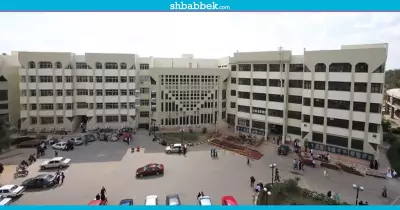 إنفوجراف| خريطة تعريفية بجامعة المنصورة