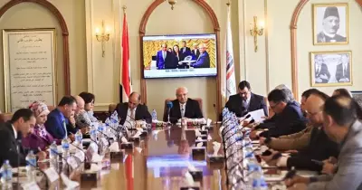 الجامعة البريطانية تعلن توصيات ندوة «مصر إفريقيا واقع وتحديات» (صور)