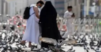 صباح يوم عرفة 1447هـ/2026.. ضيوف الرحمن يؤدون مناسكهم بيسر وطمأنينة
