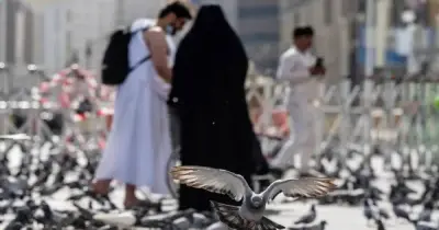صباح يوم عرفة 1447هـ/2026.. ضيوف الرحمن يؤدون مناسكهم بيسر وطمأنينة