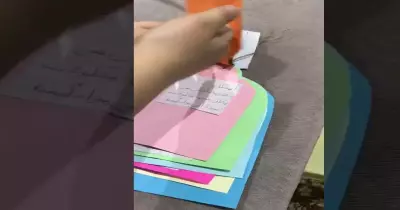 مطوية علوم سادس السلاسل والشبكات الغذائية بالفيديو