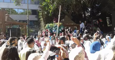 أغاني فيروز وعمرو دياب تشعل مهرجان كليات الفنون بالزمالك
