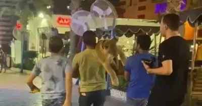 الداخلية تكشف سر صورة تجول أسد في العين السخنة