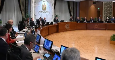 مجلس الوزراء يوافق على تخصيص أراضي بنظام البيع بالدولار