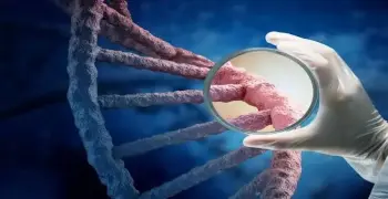 ملخص أحمد الجوهري تأسيس أحياء للصف الثالث الثانوي 2027