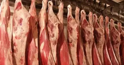 أسعار لحوم عيد الأضحى 2019 في مصر.. الضاني والبقري والمستوردة