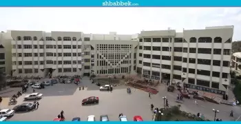 اتهمته طالبة بالتحرش والضرب.. وقف أستاذ بتربية المنصورة بسبب «واقعة الأسانسير»