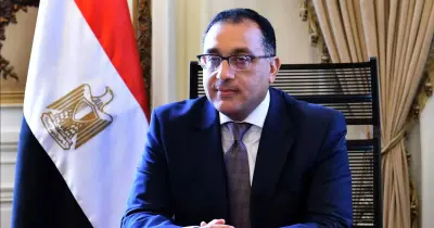 مدبولي: تكليفات لكل المحافظات بالتوسع في زراعة الأشجار