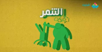 موضوع تعبير عن التنمر واحترام الآخر كامل الفقرات