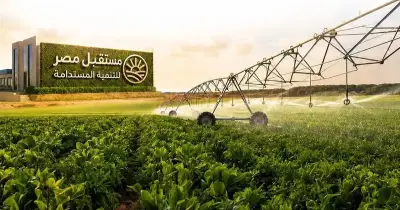 تخصصات الدراسة في مدارس مستقبل مصر المصرية الإيطالية 2026