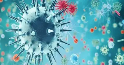 حل جميع أسئلة النماذج الاسترشادية أحياء تالتة ثانوي 2026
