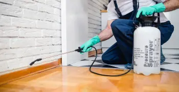 قائمة الشركات المعتمدة من وزارة الصحة والسكان لمكافحة الحشرات