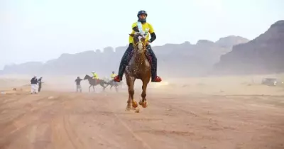 كأس الملك للقدرة والتحمل 2024.. موعد البطولة وعدد المشاركين ودليل المنافسات