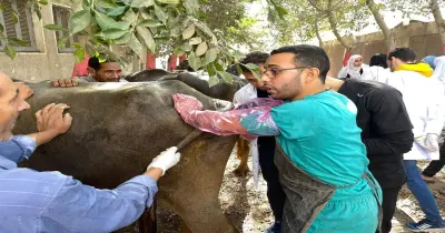 التنظيم والإدارة يعلن نتيجة الامتحان الإلكتروني للمتقدمين لشغل 4500 وظيفة طبيب بيطري
