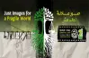 مكان مهرجان الإسكندرية للسينما الخضراء 2026