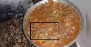 «عقرب» في أكل مدينة طالبات جامعة أسيوط (صور)