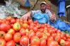سعر الطماطم اليوم 25 مارس 2026.. وزارة الزراعة تكشف موعد الانخفاض وقيمة التراجع