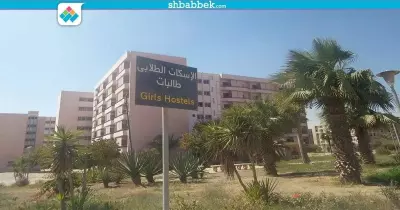 طالبة بجامعة حلوان تستغيث من الكلاب: «بتجري ورانا وتفزعنا»