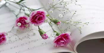 #اصطباحة_النهاردة.. مطربين كبار غنوا لجمال الورد