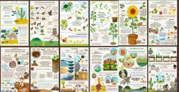 مطوية عن المخلوقات الحية وحاجاتها للصف الثالث الابتدائي بالأدوات والصور