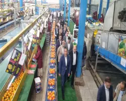 رئيس الوزراء يتفقد مصانع بنها الاستثمارية لدعم الصناعة الوطنية (صور)