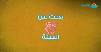 تباين الموجات الصوتية وآثارها السلبية والإيجابية على البيئة.. بحث الصف الثاني الإعدادي