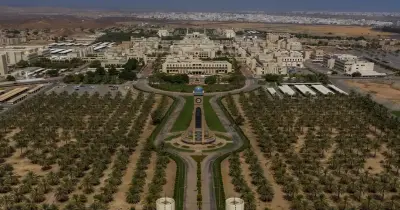 الوظائف المطلوبة في جامعة السلطان قابوس بعمان.. عمل أكاديمي بمجال الذكاء الاصطناعي