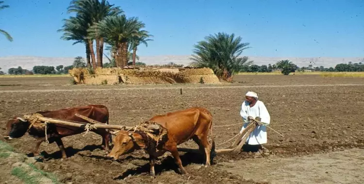  تدشين حملة «خليك فى الغيط» للوقاية من فيروس كورونا 