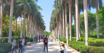 بدءا من يوليو.. حديقة الأزهر تمنع دخول الزائرين أقل من 16 عاما دون ولي أمر