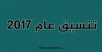 تنسيق كليات «فنون جميلة وتطبيقية وتربية رياضية» للعام الماضي (2017-2018)