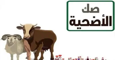 رقم الخط الساخن لخدمة صكوك الأضاحي من وزارة الأوقاف