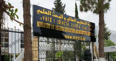 أوراق التقديم في وظائف الباحثين 2026 بوزارة التعليم العالي