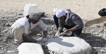 بطول 4.5 متر.. اكتشاف سلحفاة عملاقة من عصر الديناصورات بالوادي الجديد
