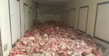 ضبط لحوم فاسدة في 16 محافظة.. ربما تكون داخل محافظتك