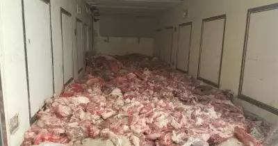 ضبط لحوم فاسدة في 16 محافظة.. ربما تكون داخل محافظتك