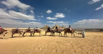 غرامة مخالفة ضوابط تأجير الدواب بالمناطق السياحية بالجيزة