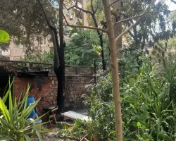 بالصور.. السيطرة على حريق محدود داخل كلية التربية بجامعة عين شمس (فيديو)