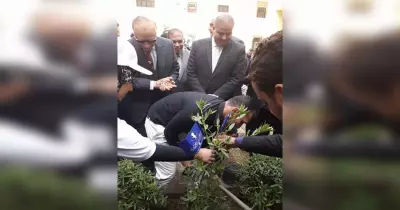 طلاب جامعة الأزهر يزرعون شجرة باسم الجامعة ضمن مبادرة خليك زي آدم (صور)
