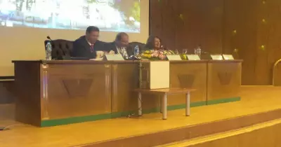 باعتراف اليونسكو.. «السيرة الهلالية والتحطيب» فن عالمي