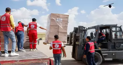 مطار العريش يبدأ استقبال المساعدات الموجهة لغزة (صور)